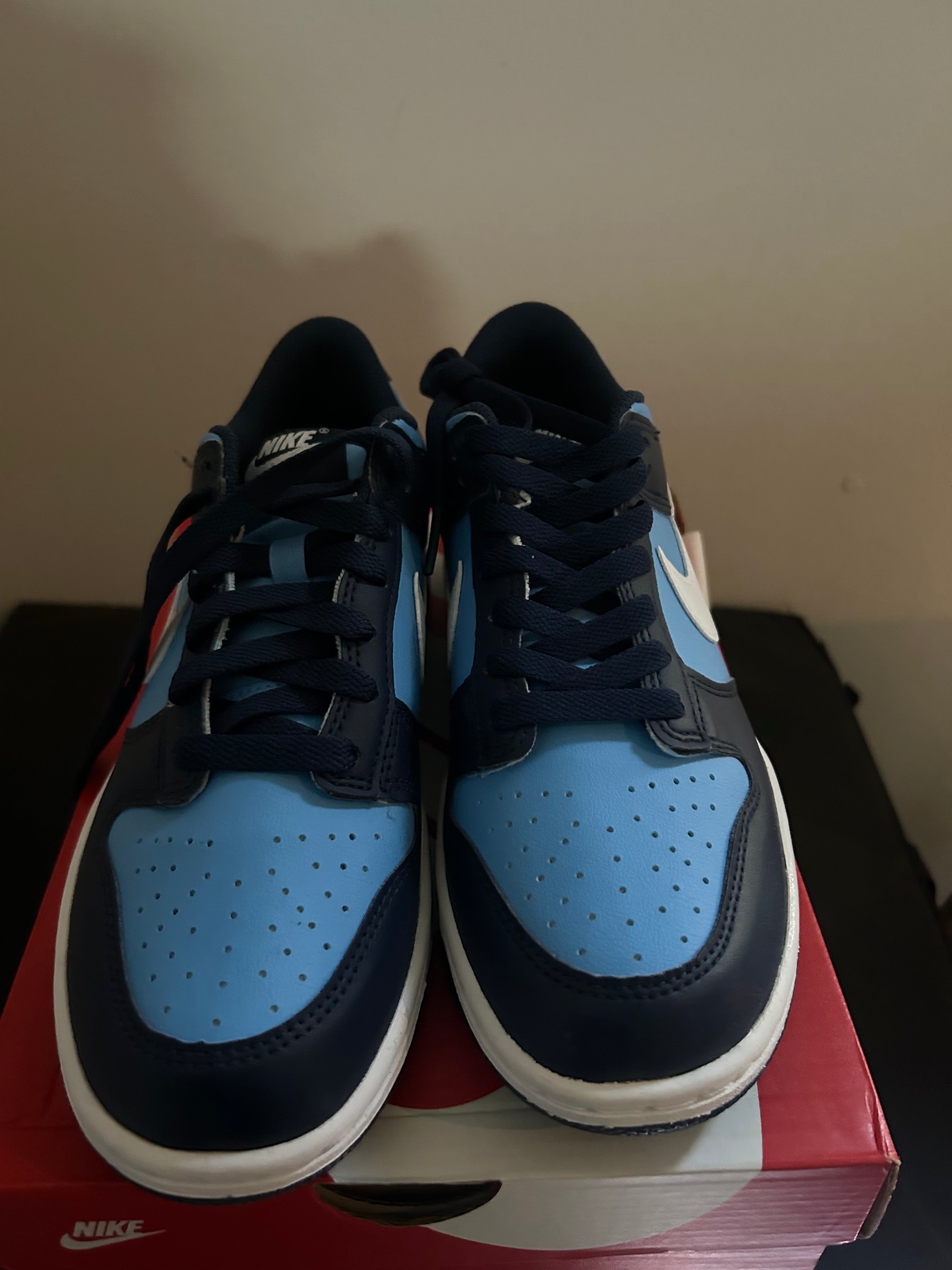 Youth Nike Dunk Low GS