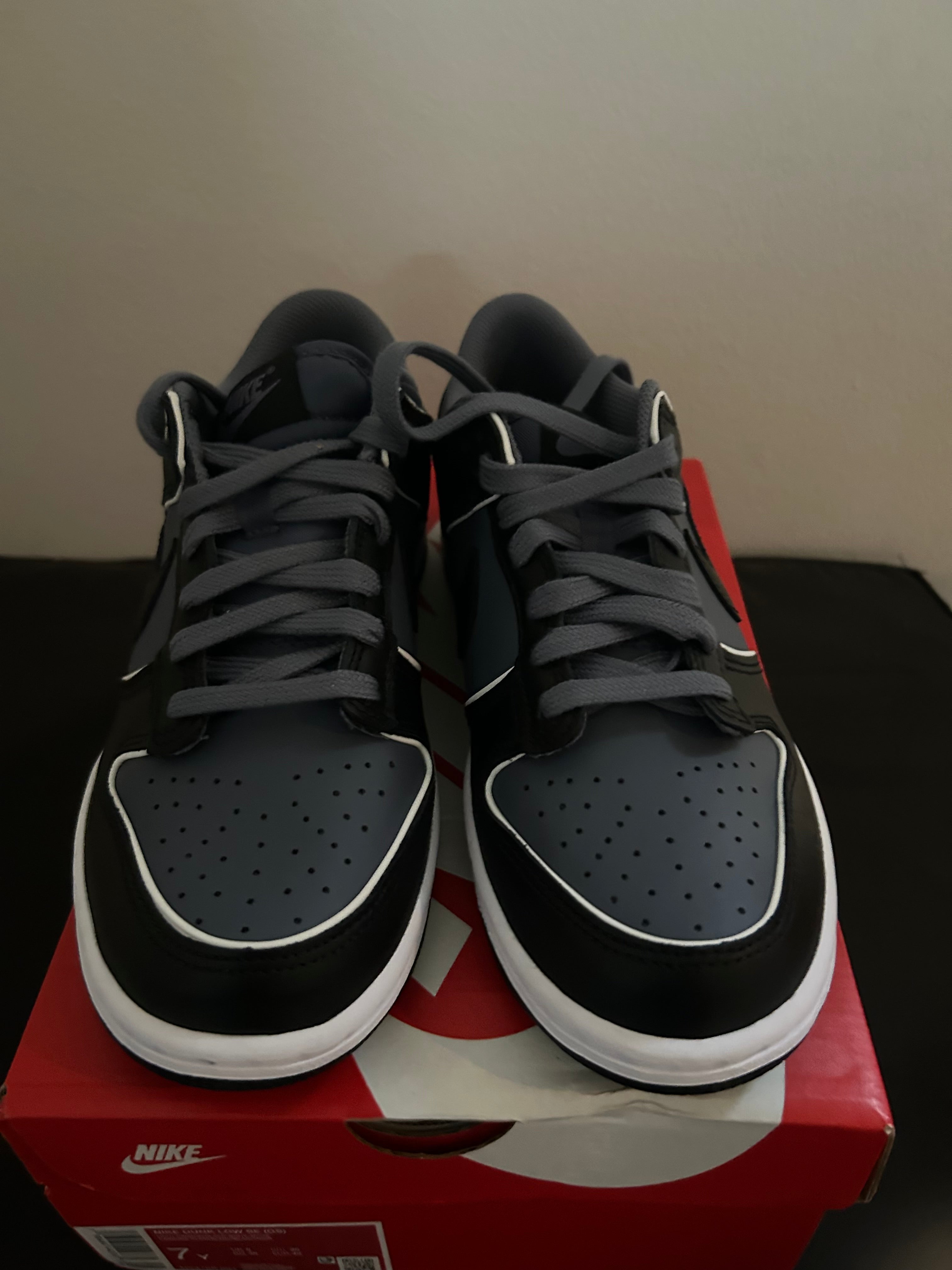 Youth Nike Dunk Low SE