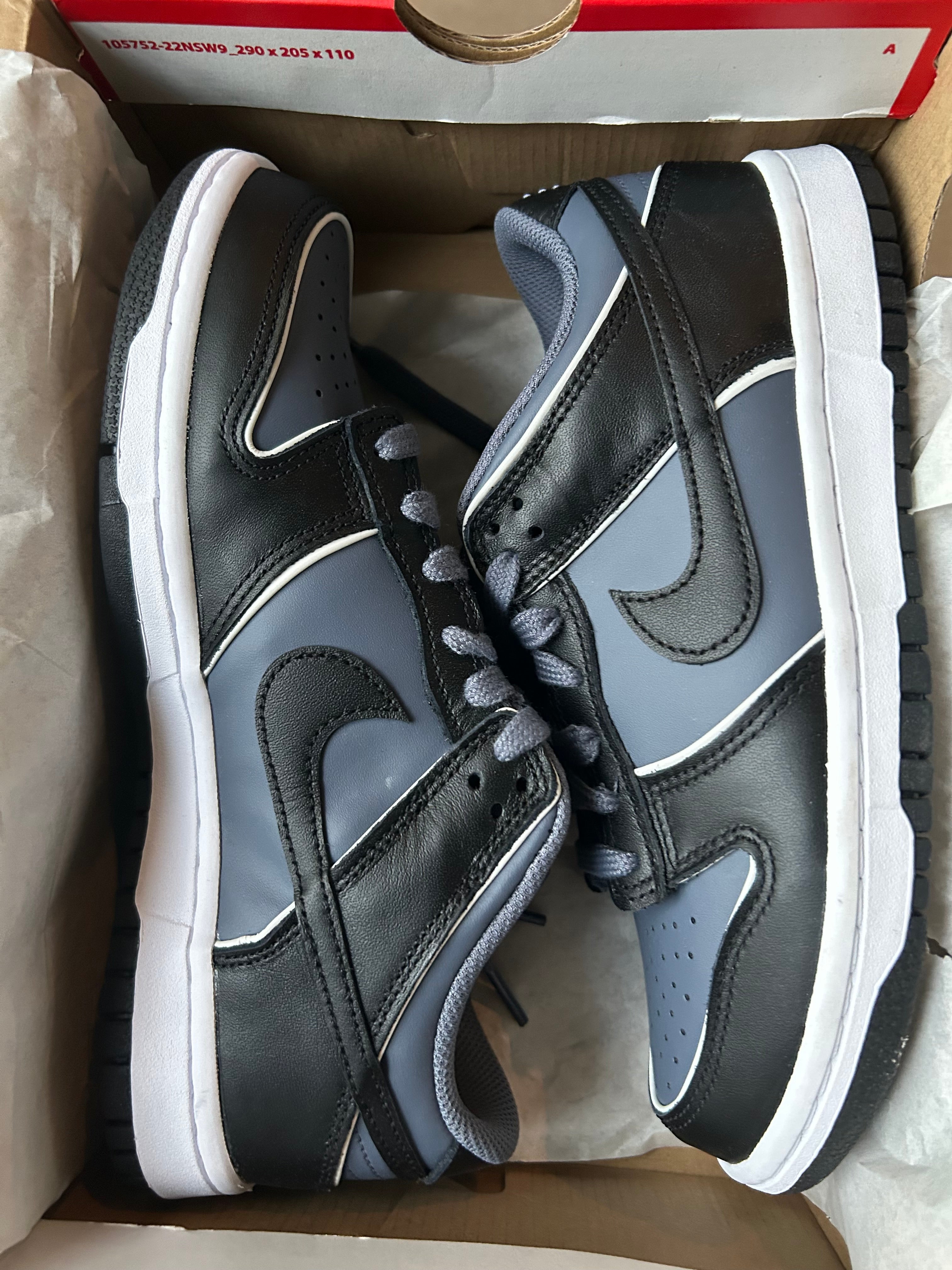 Youth Nike Dunk Low SE