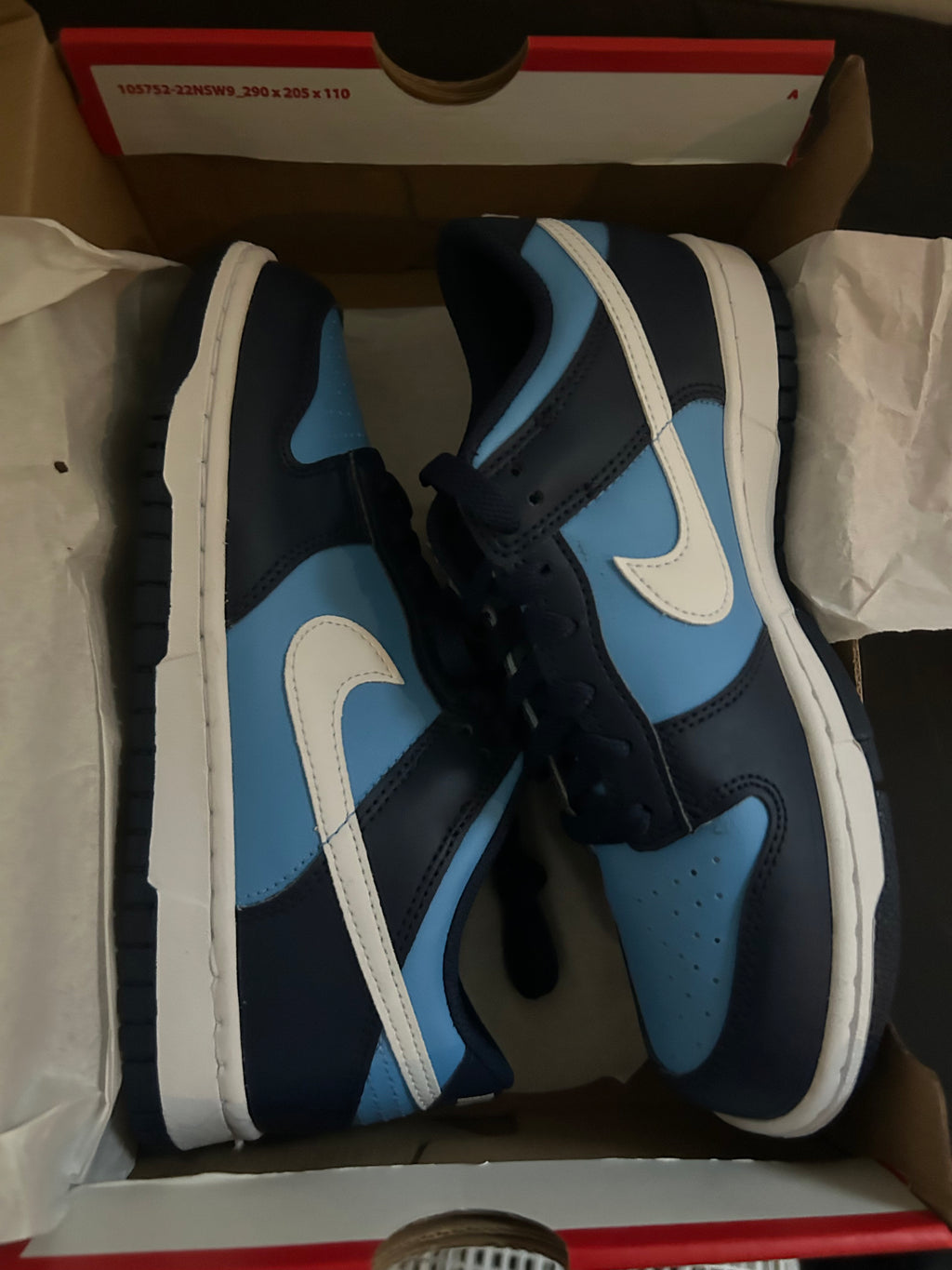 Youth Nike Dunk Low GS