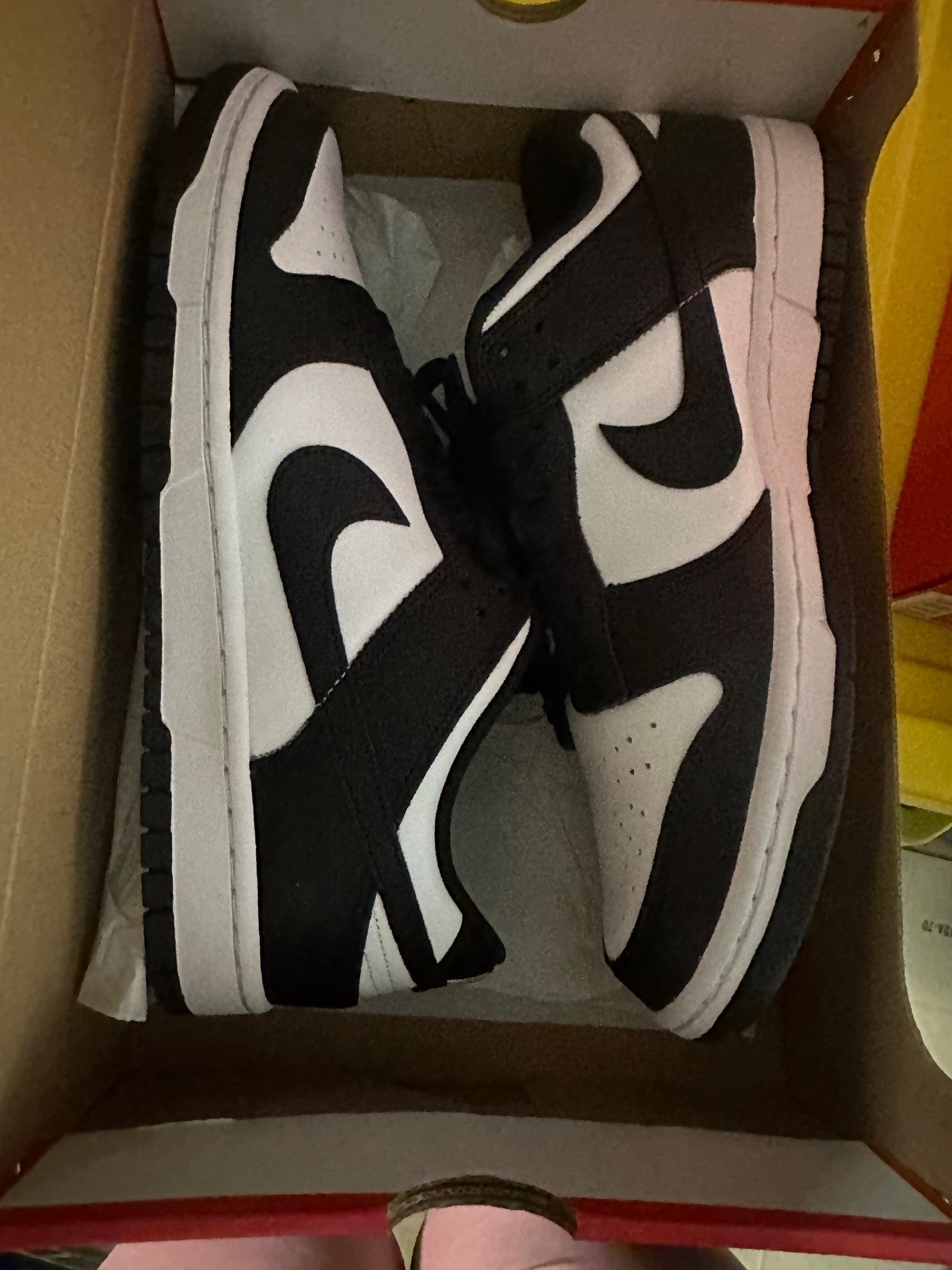 dd1391 - nike dunk low retro image 0